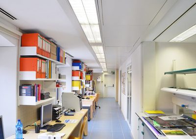 UB Medicina